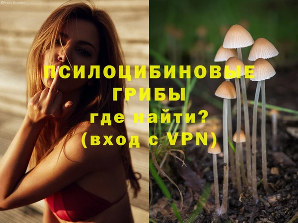jwh Строитель